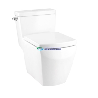 Bồn cầu 1 khối COTTO C107147 nắp đóng êm dòng Tetra