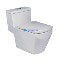 Bồn cầu 1 khối COTTO C10717 nắp đóng êm