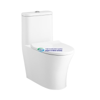 Bồn cầu 1 khối COTTO C11001HNOS nắp đóng êm