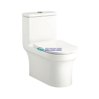 Bồn cầu 1 khối COTTO C11002HOS nắp đóng êm