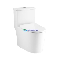 Bồn cầu 1 khối COTTO C11003HNOS nắp đóng êm