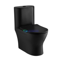 Bồn cầu 1 khối COTTO C11007MBK nắp đóng êm