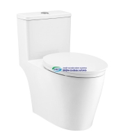 Bồn cầu 1 khối COTTO C110507 nắp đóng êm dòng Harmony