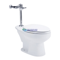 Bồn cầu 1 khối COTTO C1320 nắp đóng êm dòng Simply Modish
