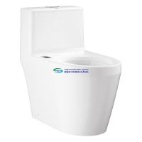 Bồn cầu 1 khối GROHE 109313SH00 nắp đóng êm dòng Euro Ceramic