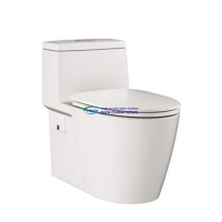 Bồn cầu 1 khối GROHE 115609 nắp đóng êm