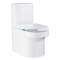Bồn cầu 1 khối GROHE 39075001 nắp đóng êm