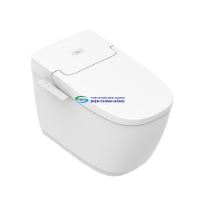 Bồn cầu 1 khối INAX AC-816VN (AC816VN) nắp đóng êm
