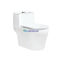 Bồn cầu 1 khối Thiên Thanh CK39 nắp đóng êm