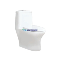 Bồn cầu 1 khối Thiên Thanh CK69 nắp đóng êm