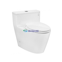Bồn cầu 1 khối TOTO MS625DT2 nắp đóng êm TC393VS