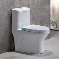 Bồn cầu 1 khối TTCERA BC005 nắp đóng êm chính hãng