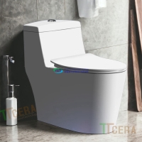 Bồn cầu 1 khối TTCERA BC021 nắp đóng êm chính hãng