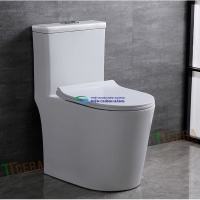 Bồn cầu 1 khối TTCERA BC079 nắp đóng êm chính hãng