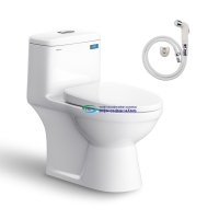 Bồn cầu 1 khối VIGLACERA BL5 nắp đóng êm