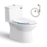 Bồn cầu 1 khối VIGLACERA V811 nắp đóng êm