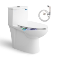Bồn cầu 1 khối VIGLACERA V819 nắp đóng êm