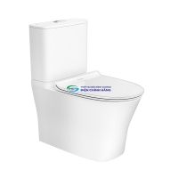 Bồn cầu 2 khối AMERICAN STANDARD 2622-WT nắp đóng êm