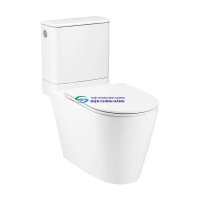 Bồn cầu 2 khối COTTO C125337 nắp đóng êm