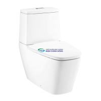 Bồn cầu 2 khối COTTO C135107 nắp đóng êm