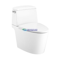 Bồn cầu 2 khối COTTO C13537 nắp đóng êm