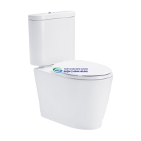 Bồn cầu 2 khối COTTO C16817 nắp đóng êm
