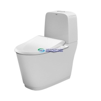 Bồn cầu 2 khối nắp điện tử INAX AC-832 + CW-H17VN
