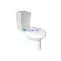 Bồn cầu 2 khối Thiên Thanh CD64 nắp đóng êm