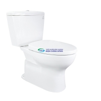 Bồn cầu 2 khối TOTO CS300DT3Y1 nắp đóng êm TC385VS