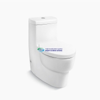 Bồn cầu 1 khối Kohler K-17629T-S2-0 nắp đóng êm chính hãng