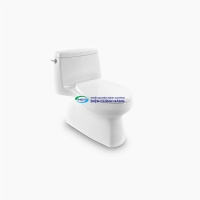 Bồn cầu 1 khối Kohler K-20169T-S-0 nắp đóng êm chính hãng