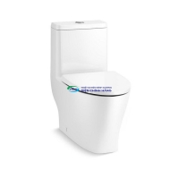Bồn cầu 1 khối Kohler K-23188T-NS-0 nắp đóng êm chính hãng