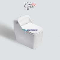 Bồn cầu 1 khối GAMA GMBC965 nắp đóng êm chính hãng