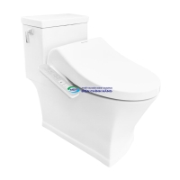 Bồn cầu 1 khối AMERICAN STANDARD WP-2025PL nắp điện tử