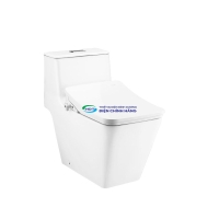 Bồn cầu 1 khối COTTO C10327(CV8) nắp điện tử