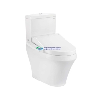 Bồn cầu 2 khối TOTO CS948CDW17 nắp điện tử Washlet C2
