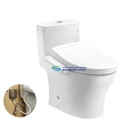 Bồn cầu 1 khối TOTO MS889DRW24