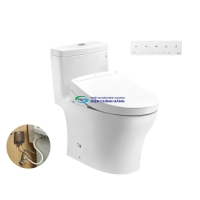 Bồn cầu 1 khối TOTO MS889DRW25