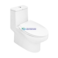 Bồn cầu AMERICAN STANDARD VF-1858SW 1 khối nắp rửa cơ (không dùng điện)