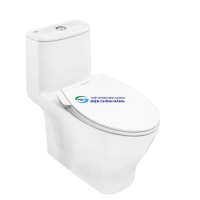 Bồn cầu AMERICAN STANDARD VF-1862SW 1 khối nắp rửa cơ (không dùng điện)