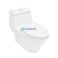 Bồn cầu AMERICAN STANDARD VF-2010SW 1 khối nắp rửa cơ (không dùng điện)