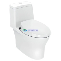 Bồn cầu AMERICAN STANDARD VF-2530S 1 khối nắp rửa cơ (không dùng điện)