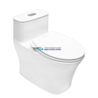 Bồn cầu AMERICAN STANDARD WP-1880SW 1 khối nắp rửa cơ (không dùng điện)