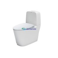 Bồn cầu 2 khối nắp rửa cơ INAX AC-832 + CW-S15VN