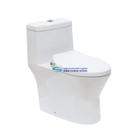 Bồn cầu JOMOO 11213-2-1 1 khối nắp rửa cơ (không dùng điện)