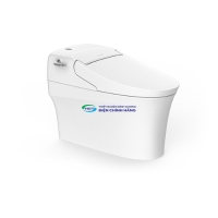 Bồn cầu thông minh AMERICAN STANDARD Aerozen WP-5017 tự động đóng mở & xả nước