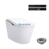 Bồn cầu thông minh TOTO Neorest LS CS911VT nẹp đen mờ TCF87320GAA