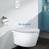 Bồn cầu treo tường GROHE 39743000 thoát ngang két nước âm tường