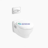 Bồn cầu treo tường Kohler K-17647T-S-0 nắp đóng êm kết hợp ké