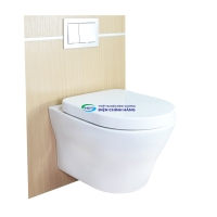 Bồn cầu treo tường TOTO CW162 thoát ngang két nước âm tường